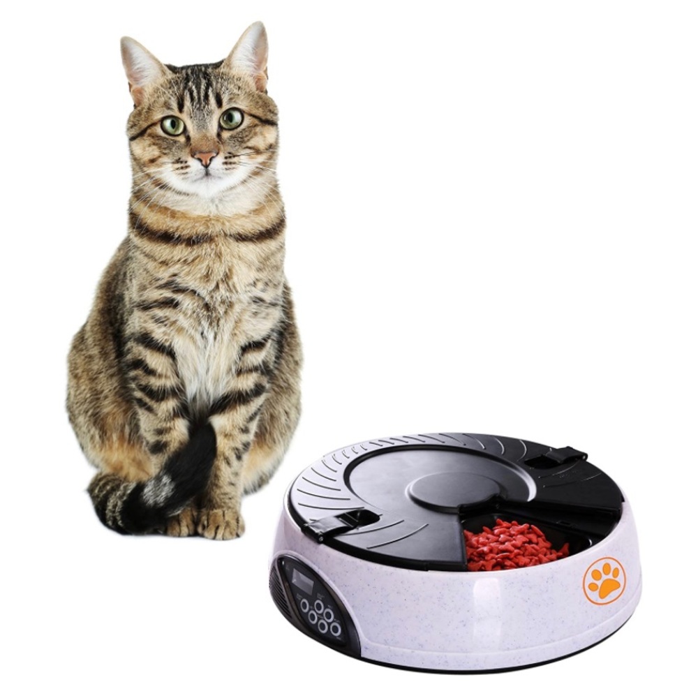 Automatic Pet Feeder with Voice Recording and Timer - Battery Operated